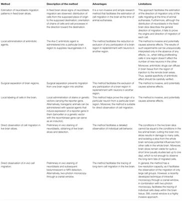 New Neurons in the Post-ischemic and Injured Brain: Migrating or Resident?